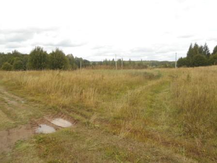 Участок ИЖС площадью 12,6 сотки в дер. Пенеснарь