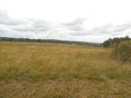 Участок ИЖС площадью 12,6 сотки в дер. Пенеснарь