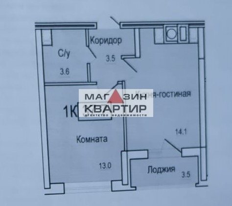 Однокомнатная квартира с ИО
