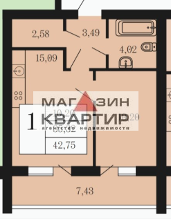 однокомнатная квартира с ИО