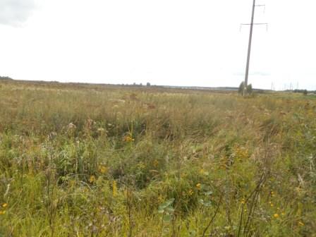 Участок 19 соток (ИЖС) в Смоленском районе, д. Лубня