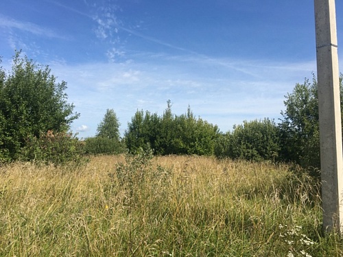 Купить земельный участок в Смоленском районе д. Рязаново