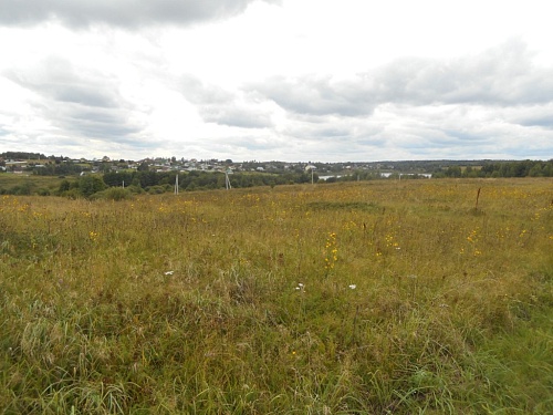 Участок ИЖС площадью 22,7 сотки в дер. Пенеснарь