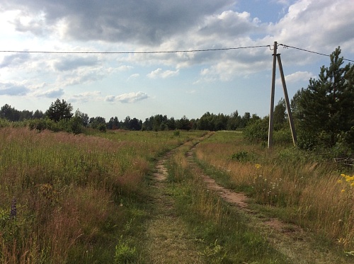 Купить участок-усадьбу в д. Фролы в КП Царское село