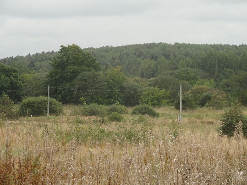 Участок ИЖС 740 соток в п. Борок на берегу Днепра
