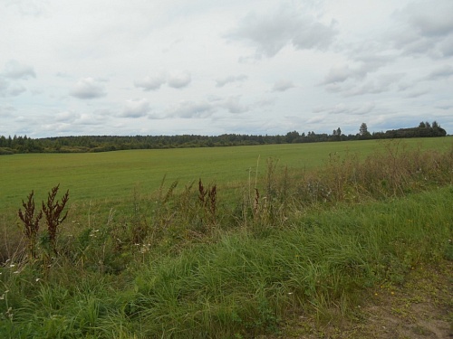 Участок ИЖС в д. Шпаки Смоленского района