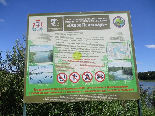 Купить участок 15 соток  ИЖС в Смоленском районе, д. Пенеснарь