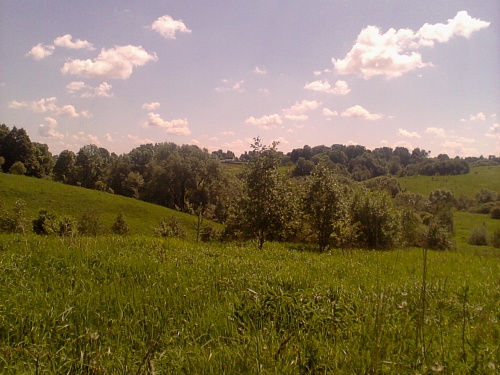 Купить участок ИЖС 9 сот. д. Шершуны