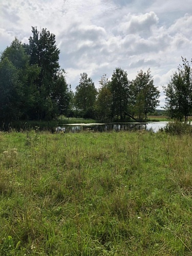 Купить участок ИЖС в д. Лубня 4,1 га