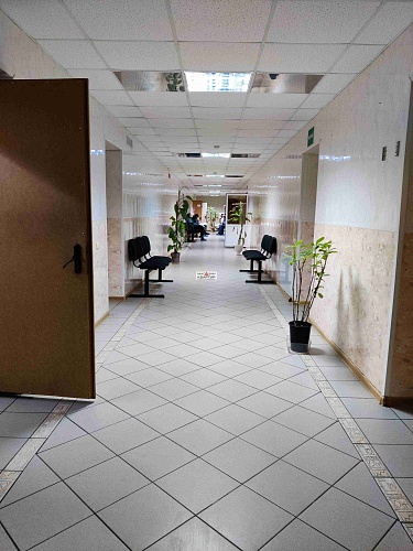 Аренда ПСН, первая линия, 398 кв.м.