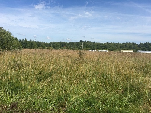 Купить земельный участок в Смоленском районе д. Рязаново