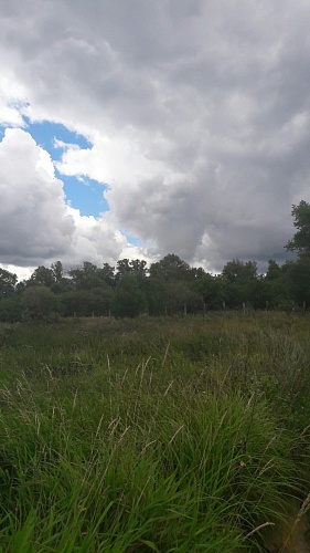 Участок ИЖС в Загорье  34 сотки