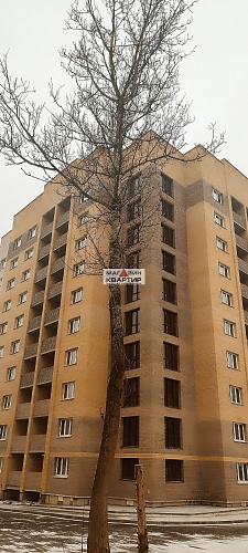 2-комнатная квартира с индив.отопл. пр-т Гагарина