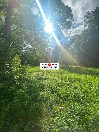 Участок ИЖС с вековыми дубами