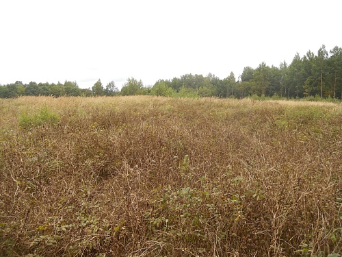 Участок на а\l Москва-Минск