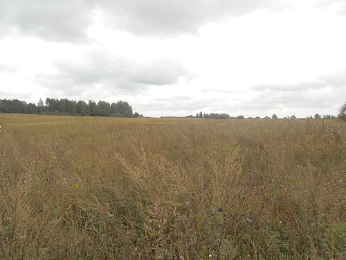 Участок промназначения 7 Га