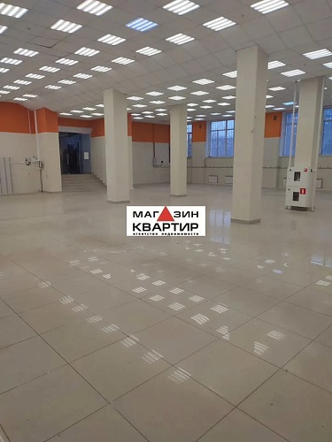 Свободного назначения/торговое, 384 м²