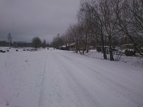 Участок 4,6 Га в Дуброво