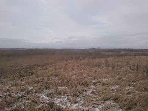 Купить участок в Д. Борщевщина