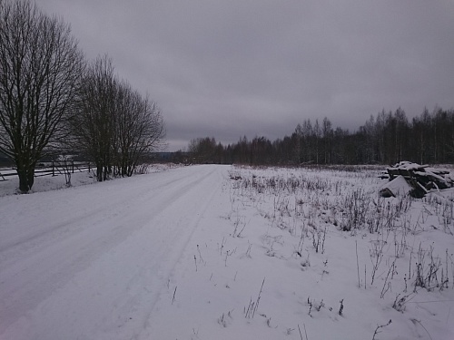 Участок 4,6 Га в Дуброво