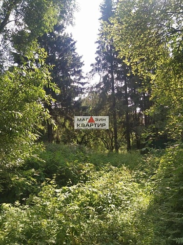 Участок ИЖС в д. Сож