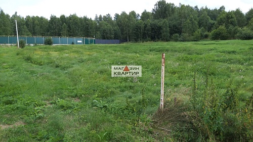 Купить участок 25 соток в Смоленске, в д. Боровая