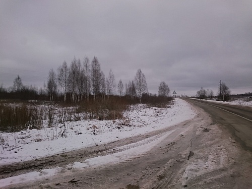 Купить участок ИЖС 73 сотки в д. Фролы