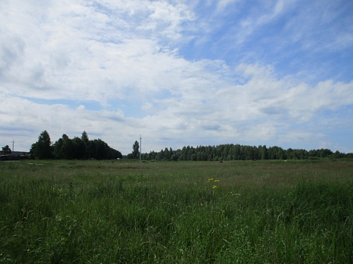 Участок 4,6 Га в Дуброво