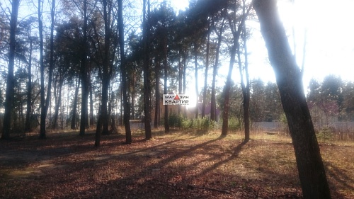 Участки ИЖС в Красном Бору от 10 соток