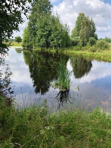 Купить участок ИЖС в д. Лубня 4,1 га