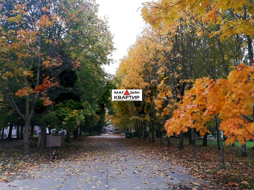 Купить готовый бизнес