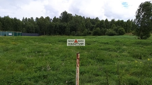 Купить участок 25 соток в Смоленске, в д. Боровая