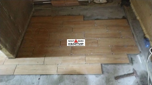 Дом 54 м² на участке 10 сот. д. Быльники Смоленского р-на.