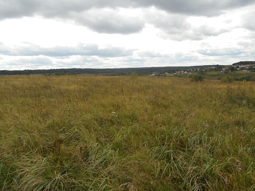 Участок ИЖС площадью 22,7 сотки в дер. Пенеснарь