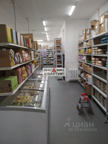 Сдается свободное назначение, 291 м²