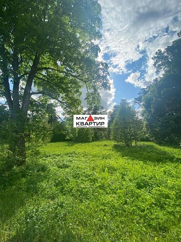 Участок ИЖС с вековыми дубами