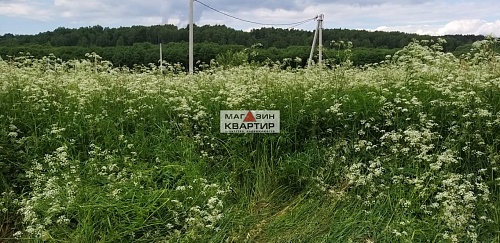 Купить участок 25 соток в Смоленске, в д. Боровая