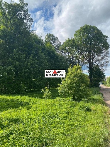 Участок ИЖС с вековыми дубами