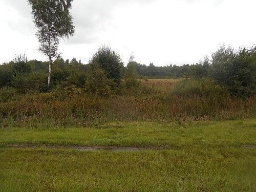 Участок на а\l Москва-Минск